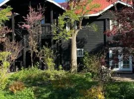 The Dandelion SV-Floret. B&B, Reimagined