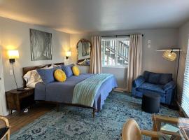 The Dandelion SV-Bloom. B&B, Reimagined – hotel w Hailey