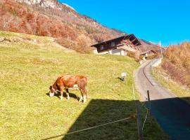 Whole traditional swiss Chalet - Alps & Lake Retreat, hotel a Niederried