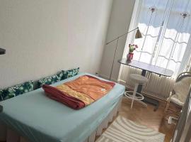 Private Room Basel - 8 min walk to Basel SBB station - Garden Access โรงแรมในบาเซิล
