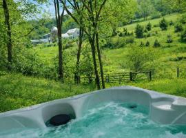 Winding Creek Cabin, hotel in Raphine