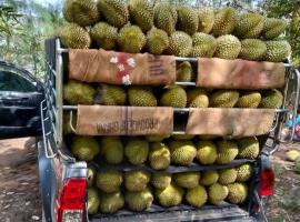 Samui โรงแรมในBan Nong Muang (1)