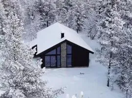 Hytte Ved Indgangen Til Jotunheimen