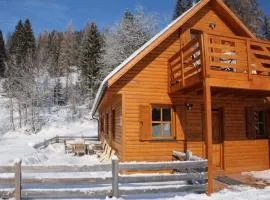 Karawankenpanorama L