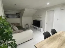 Cozy Modern Rooftop Apartment