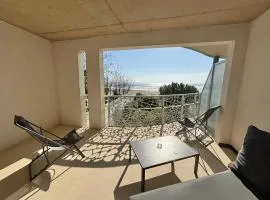 Appartement moderne 1 ch, animaux admis, accès plage, parking inclus - FR-1-194-299
