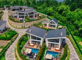 Nish Vadi Villas
