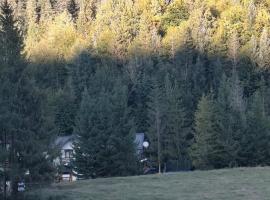 Voroneț, CABANA IOANA, Bucovina!, hotel en Voroneț