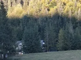 Voroneț, CABANA IOANA, Bucovina!