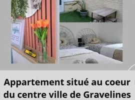 La gravelinoise 1 appartement cosy et lumineux en centre ville