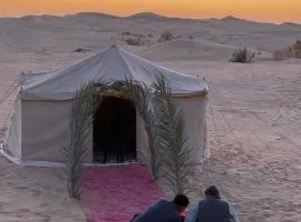 Wild Desert Camp in Sabria with Camel Trek
