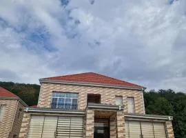 Brick Villas