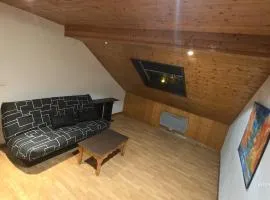 bright, cozy, close to tramway du Mont blanc