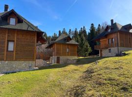 Evergreen Sokolina, hotel in Rača