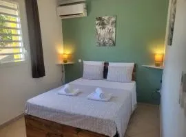 LE MANGO COSY proche de l'aéroport