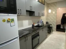 Modern Flat Close to Almaty Airport