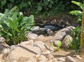 B&B et rivières sauvages