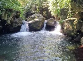 B&B et rivières sauvages