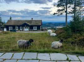 Authentic Family Cabin Experience At Sjusjøen, hotell i Sjusjøen