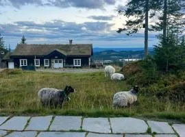Authentic Family Cabin Experience At Sjusjøen
