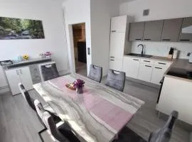 Tabor View Apartment with sauna-Free parking