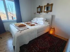 Rymlig lägenhet nära Centralstationen