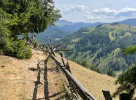 Pensiunea de la Rau Moieciu de sus, Hotel in Moieciu de Sus