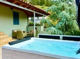 Blue Topaz cottage Mini pool Spa