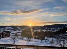 Toppen House, hotel i Ringsaker