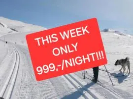 Fantastic and high standard apartment in Nordseter