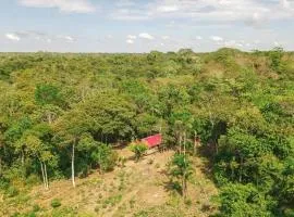 Panguana Lodge all inclusive