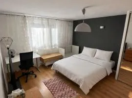 Brynów Point Studio - Free parking & 55"smart TV