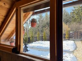 Planinska kuca ANDJELA 1 - sauna & đakuzi – hotel w mieście Mitrovac