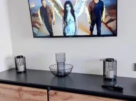 Квартира -студія в новобудові в центрі міста на Проскурівське підпілля 110а