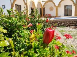 Chambres Maison d'hôtes MaisonBlanche