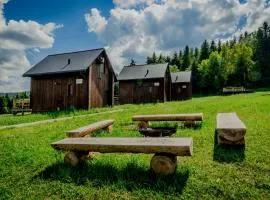 POLANA PIORUN Domki całoroczne w Beskidach