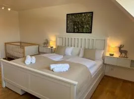 Ferienwohnung Schwarzwaldnest 2 - black forest nest 2, im Herzen von Emmendingen