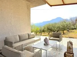 The Olive Nest House