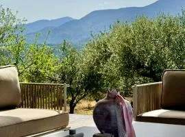 The Olive Nest House