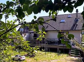 Full Modern House - Beautiful Garden - Private Parking Space - Paris & Disneyland MontFermeil