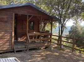 Chalet avec terrasse - 4 pers. - API-1-52-2010