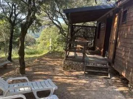 Chalet confortable avec terrasse - 5 pers. - API-1-52-2012
