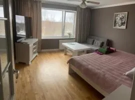 Kovarnu street apartment