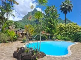 Eco Lodge Village Temanoha