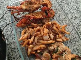 Wasini dolphin adventure