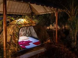 Dandeli Jungle Inn Resort