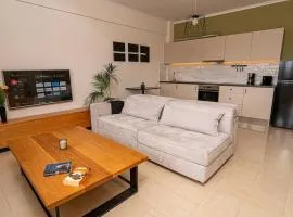 Fully renovated 1 bedroom apt 5' walk from center