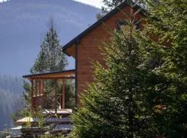 Шале над скелею