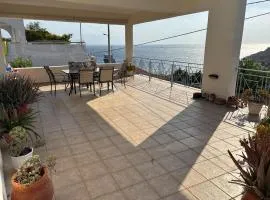 The house by the sea