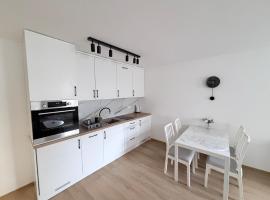 Piast Castle Apartment Brzeg โรงแรมในบรึเซก